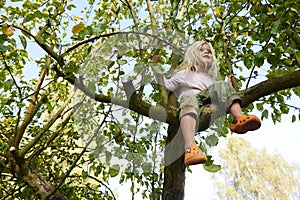 Little blond child girl climbing on a apple tree in the garden