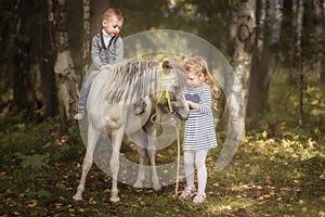 Little blond girl leading pony by bridle with her younger brother