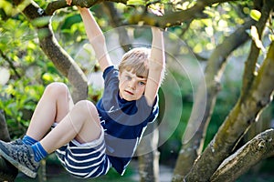 Little blond kid boy of 5 years climbing in tree in summer.