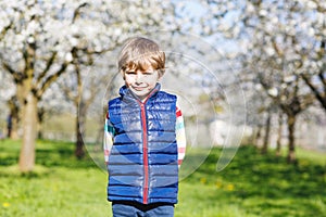 Little blond kid boy having fun on blooming cherry garden
