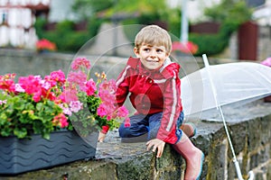 Little blond kid boy walking with big umbrella outdoors on rainy day. Portrait of cute preschool child having fun wear colorful