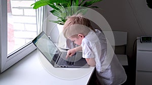 Little blonde boy typing on keyboard notebook computer. press finger on buttons. Digital educations. Computer technology