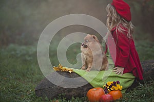 A little blonde girl with a small red dog in the autumn misty forest sitting on a log next to pumpkins. Autumn