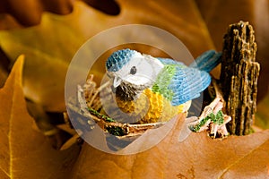 Little blue bird at the nest among the leafs