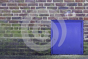 Little Blue Door