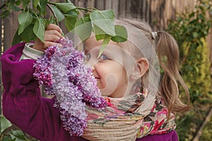 Little blue-eyed blond girl sniffs a flowering branch from a lilac bush