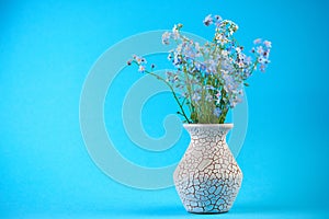 Little blue flowers in vase on colored background with empty space for you text