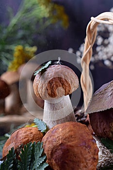 Little boletus edulis with a leaf and fuzz