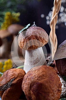 Little boletus edulis with a leaf and fuzz on its cap in the rain