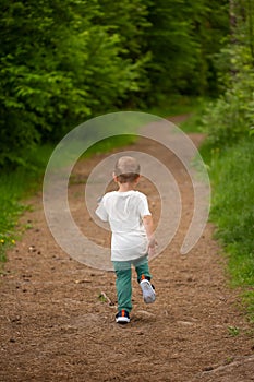 Little boy of 3 years old runs away from the forest path deep into the forest