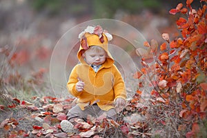 Little boy alone sits on dry grass in a beautiful autumn park on a background of red foliage