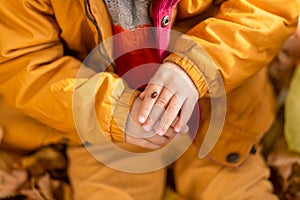 A little boy in an autumn park sits on yellow leaves in a yellow jacket and holds a ladybug in children`s hands. A red beetle