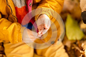 A little boy in an autumn park sits on yellow leaves in a yellow jacket and holds a ladybug in children`s hands. A red beetle