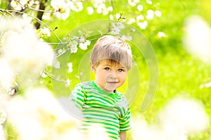 Little boy on a background of flowering tree and green grass