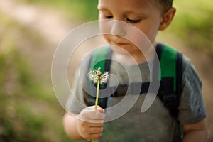 Little boy blowing a white dandelion in the garden