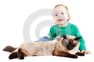 Little boy with balinese cat isolated on white