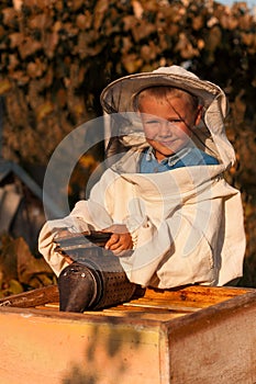 Little boy beekeeper works on an apiary at hive