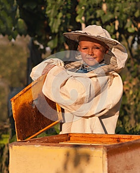 Little boy beekeeper works on an apiary at hive