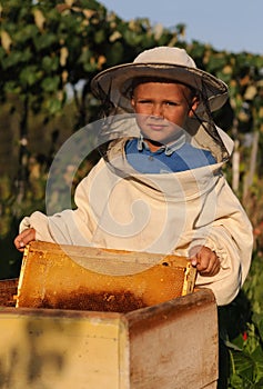 Little boy beekeeper works on an apiary at hive