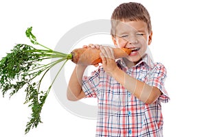 Little boy biting the carrot