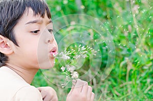 Little boy blow flower floating to the air in the garden