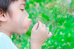 Little boy blow flower floating to the air in the garden