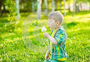 Little boy blowing dandelion seeds