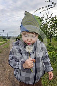 Little boy blows at the dandelion