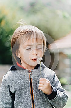 Little boy blows in dandelion on sunlight