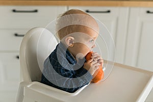 Little boy in a blue t-shirt sitting in a child& x27;s chair eating carrot - baby care and infant child feeding concept