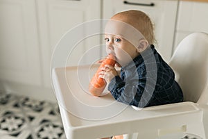 Little boy in a blue t-shirt sitting in a child& x27;s chair eating carrot copy space and empty space for text - baby