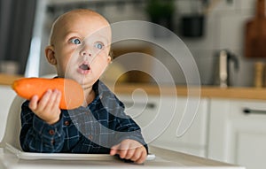 Little boy in a blue t-shirt sitting in a child's chair eating carrot copy space and empty space for text - baby