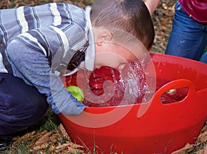 Little Boy Bobbing For Apples