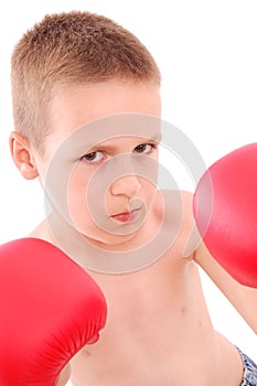 Little boy boxer