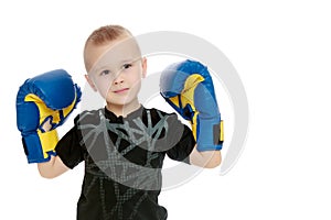 Little boy in Boxing gloves.