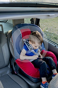 Little boy buckled up with seatbelt inside the car. Vehicle and transportation concept