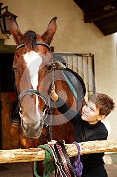 Little boy caressing horse photo
