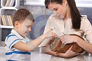Little boy caressing pet rabbit handheld by mum