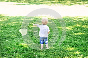 Little boy catching butterflies with a scoop