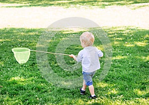 Little boy catching butterflies with scoop