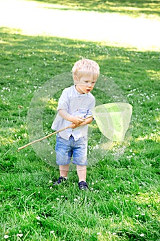 Little boy catching butterflies with a scoop