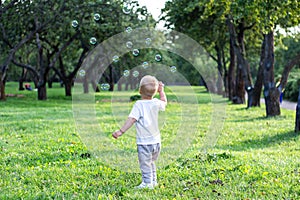 Little boy child blowing soap bubbles outdoors in sunny summer day at the park Children s day