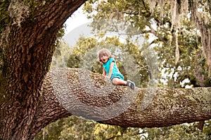 Little boy Child climbed on tree and sitting on tree branch.