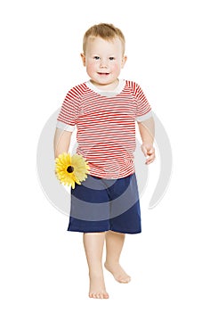 Little boy child with flower, kid isolated on whit