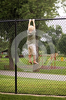 Little Boy Child Hanging From High Chain Link Fence Trying to Cl