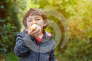 Little boy child kid eating apple fruit autumn fall copyspace ga