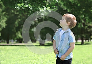 Little boy child outdoors in green sunny park looking up