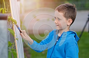 Little boy child painting the fence in garden