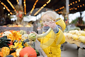 Little boy choose right pumpkin on a farm at autumn. Preschooler child hold a pumpkin of unusual shape