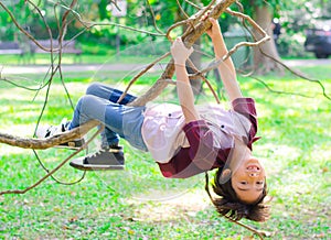 Little boy climb on a tree robe